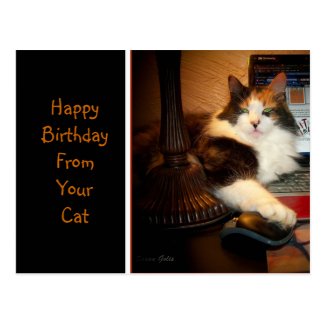 Happy Birthday From Your Cat Greeting Postcard