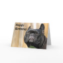 Happy Birthday Fun - Paris Merille cards by digitaled Happy Birthday Fun - Paris Merille cards