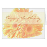 Happy Birthday - Gerbera Dasies Card
