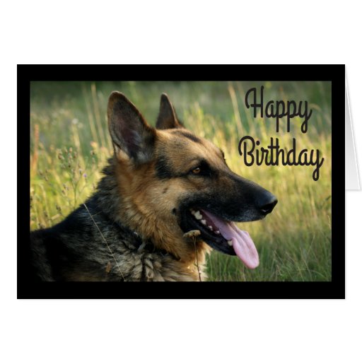 Happy Birthday German Shepherd Puppy Dog Card Zazzle