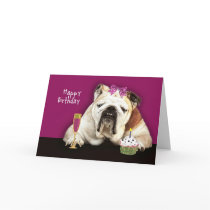 happy birthday, getting older, funny dog, pink bow cards