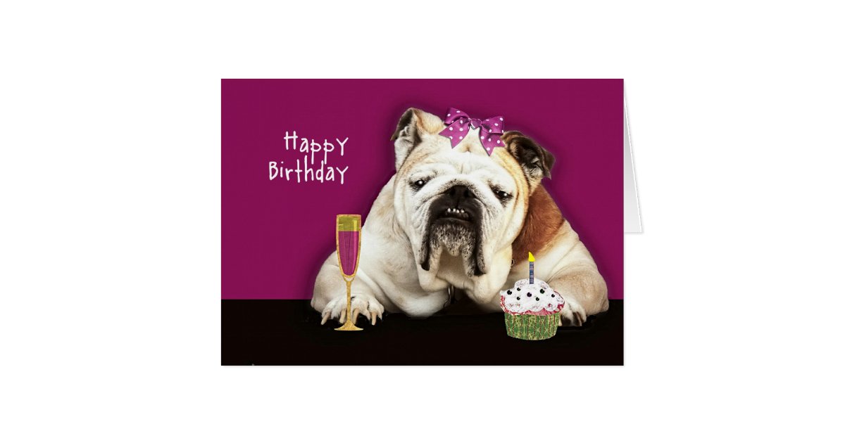 Happy Birthday Getting Older Funny Dog Pink Bow Card