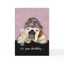 happy birthday, getting older, humor, dog cards