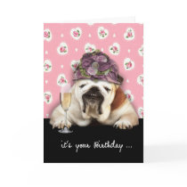 happy birthday, getting older, hur, dog with hat cards