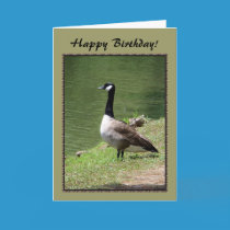 Happy Birthday Goose cards