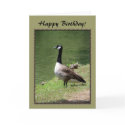 Happy Birthday Goose cards by birdersue Happy Birthday Goose cards