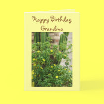 Happy Birthday, Grandma cards by Priscilla48 Happy Birthday, Grandma cards