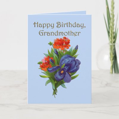 Happy Birthday Grandmother Greeting Card by postcardsfromtheedge