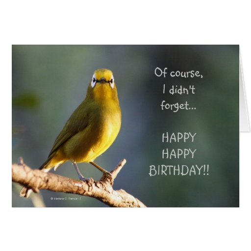Happy Birthday Greeting Card