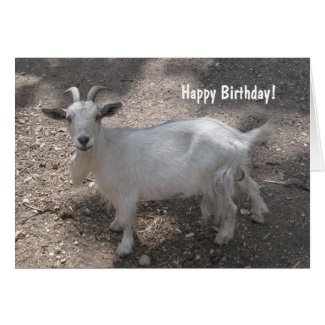 Happy Birthday! Greeting Card