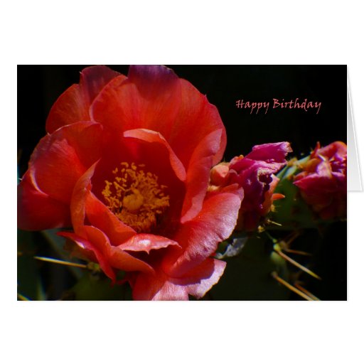 Happy Birthday Greeting Card