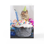 Happy Birthday Greeting Card, blank
