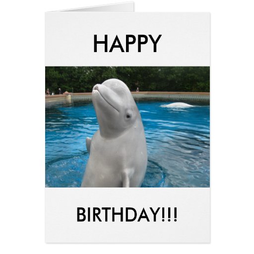 HAPPY BIRTHDAY Greeting Card with Beluga Whale | Zazzle