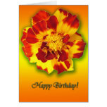Happy Birthday! Greeting Cards