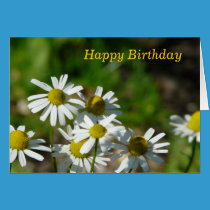 Happy Birthday cards