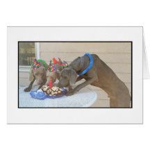 Happy Birthday Greeting Cards
