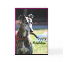 Happy Birthday Greyhound greeting card