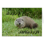 Happy Birthday groundhog Greeting Card
