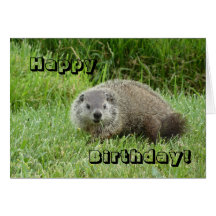 Happy Birthday groundhog Greeting Card