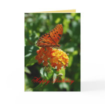 Happy Birthday Gulf Fritillary Butterfly,  Lantana Greeting Cards