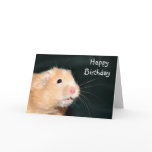 Happy Birthday hamster cards