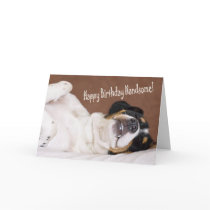Happy Birthday Handsome Greeting Card by waggytails Happy Birthday Handsome Greeting Card