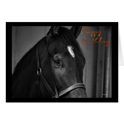 Happy Birthday horse card Birthday wishes | Zazzle