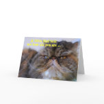 Happy Birthday Humor Calico Persian Kitty Card