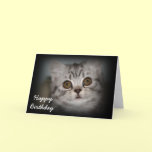 Happy Birthday Kitten Card