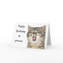 Happy Birthday kitten Card