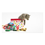 Happy Birthday kitten Customized Photo Card