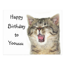 Happy Birthday kitten Postcards