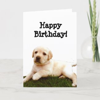 Happy Birthday Labrador puppy greeting card card