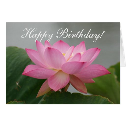 Happy Birthday Lotus Blossom greeting card Zazzle