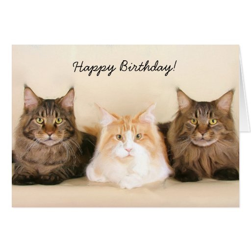 Happy Birthday Maine Coon Cats greeting card Zazzle