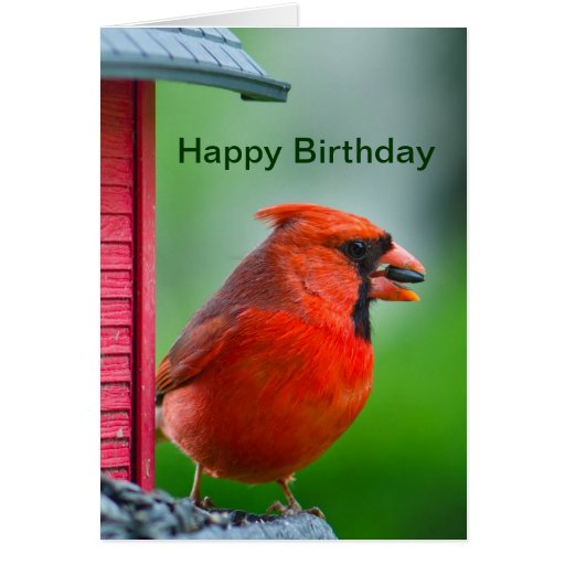 Happy Birthday - male cardinal Greeting Card | Zazzle