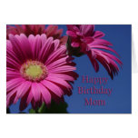 Happy Birthday Mom - Pink Gerbera Cards