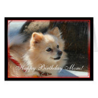 Happy Birthday Mom Pomeranian greeting card