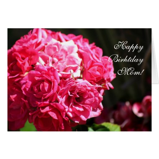 Happy Birthday Mom Rose Greeting Card Zazzle