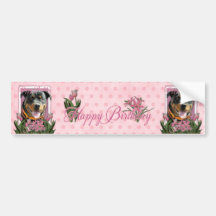 Happy Birthday Mom - Rottweiler - SambaParTi Bumper Stickers