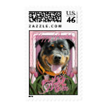 Happy Birthday Mom - Rottweiler - SambaParTi Stamp