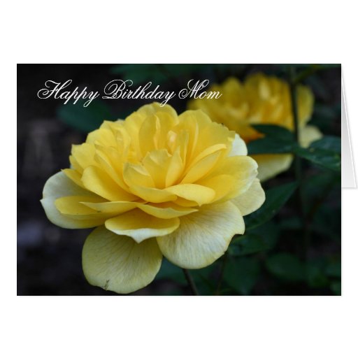 Happy Birthday Mom Yellow Rose Flower Photo Card Zazzle