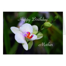 Happy Birthday Mother Phalaenopsis Orchid Card
