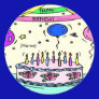 Happy Birthday Name Sticker
