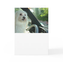 Happy Birthday Old Dog cards