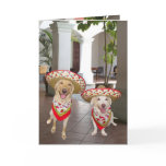 Happy Birthday! or ¡Feliz cumpleaños! cards