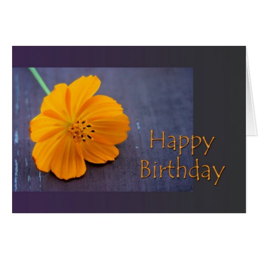 Happy Birthday - orange cosmos Cards