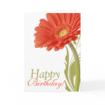 Happy Birthday | Orange Gerbera Daisy cards