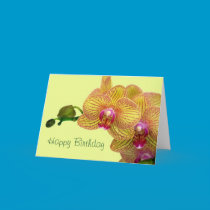 Happy Birthday - Orchid yellow and pink cards