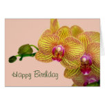 Happy Birthday - Orchids Greeting Card